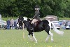 thornton-le-dale-gala showclass7acharity25-5-20154